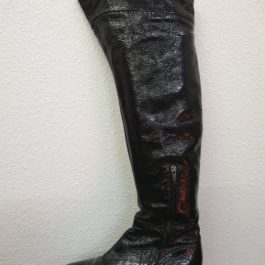 Bottes cuissardes